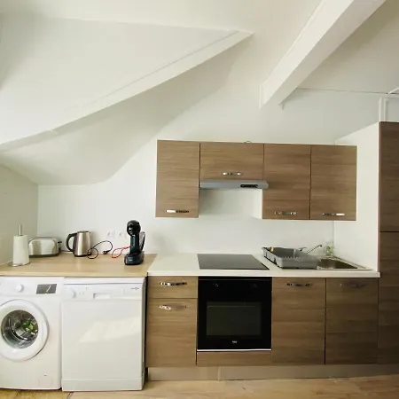 Apartment Les Paquerettes N 1 Le Mont-Dore